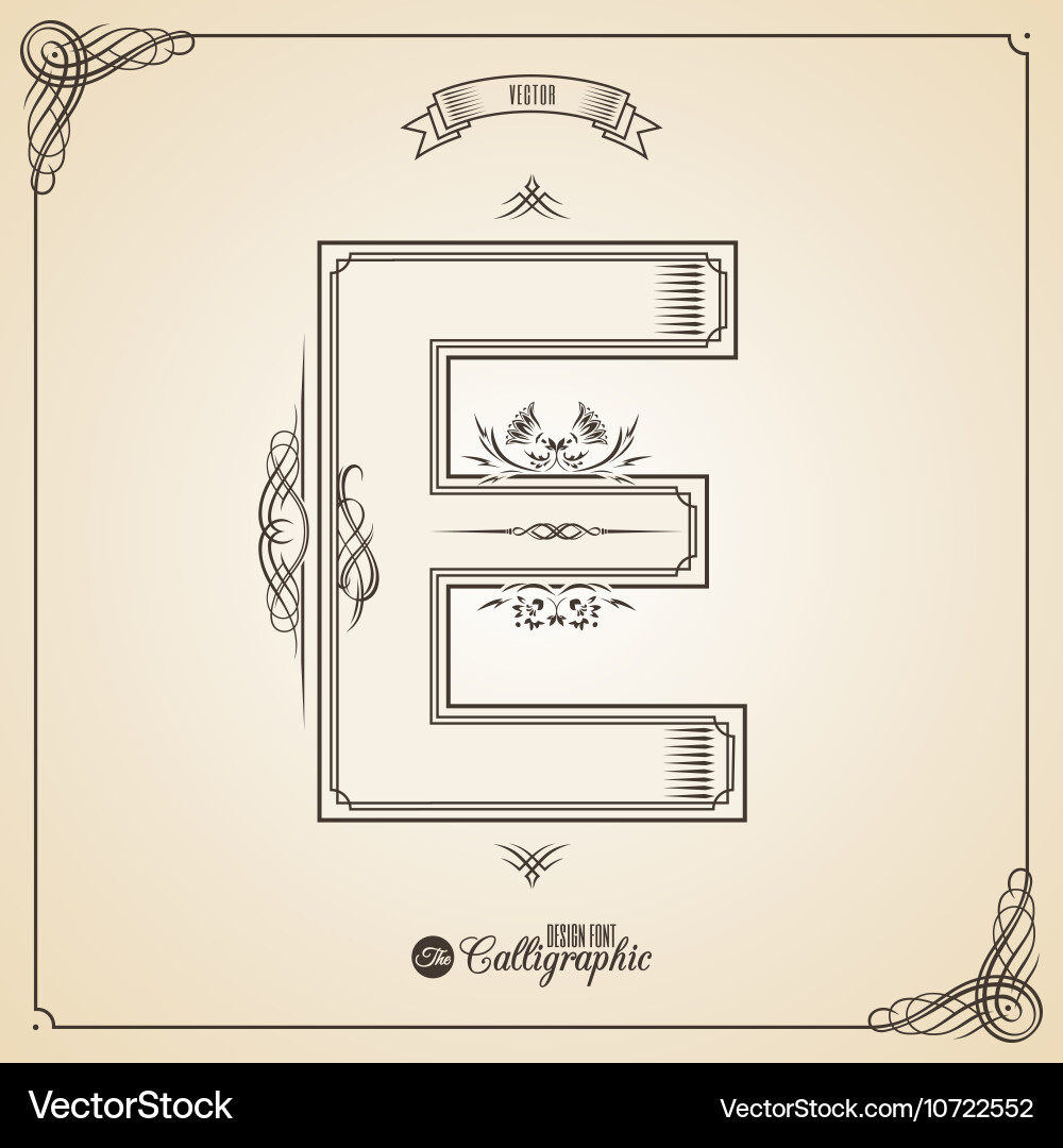 Calligraphic fotn with border frame elements vector image