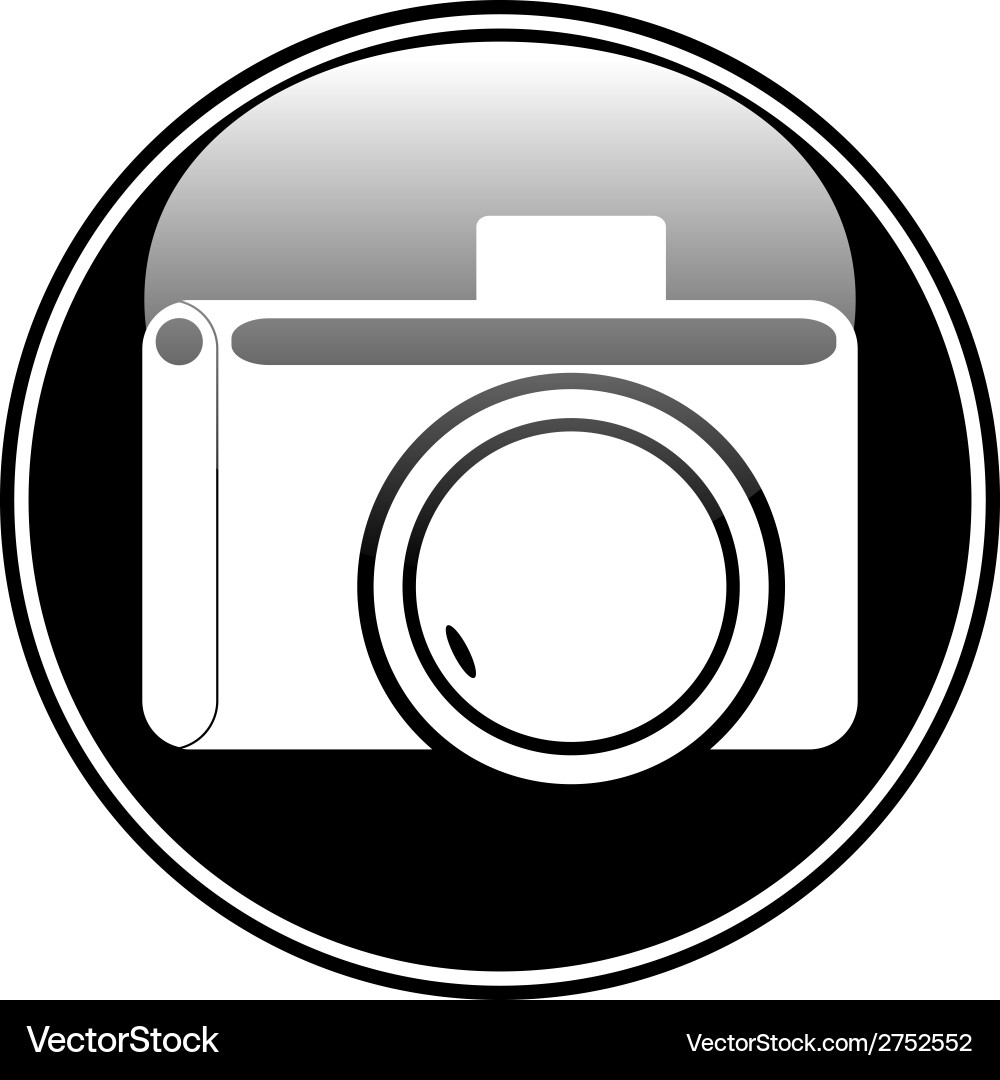 Camera button Vector Image