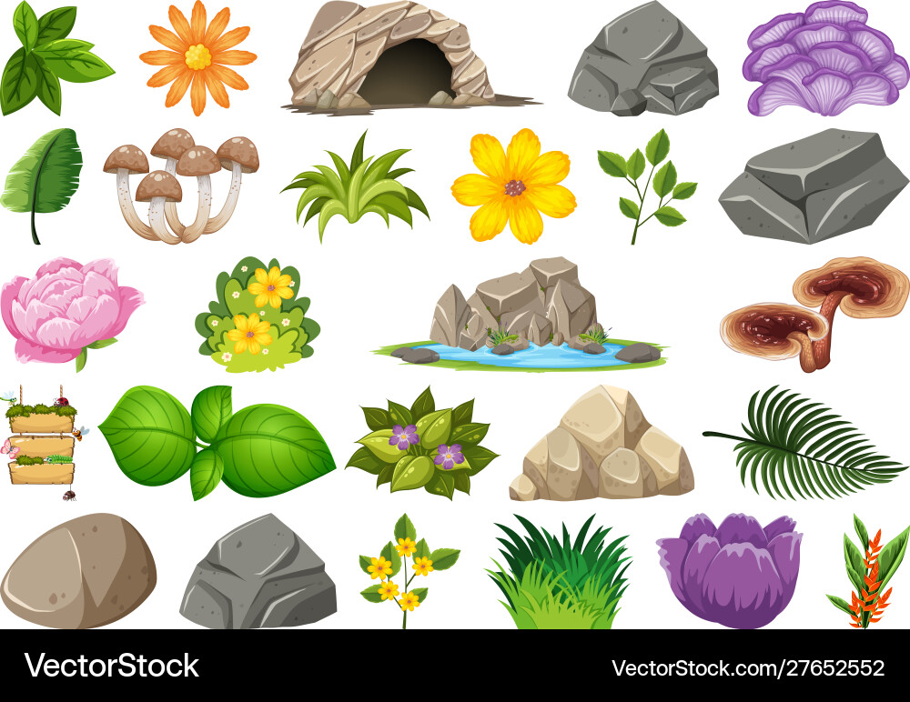 Set isolated objects theme - nature vector image