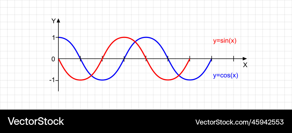 Cosine and sine wave lines on bidimensional plane Vector Image