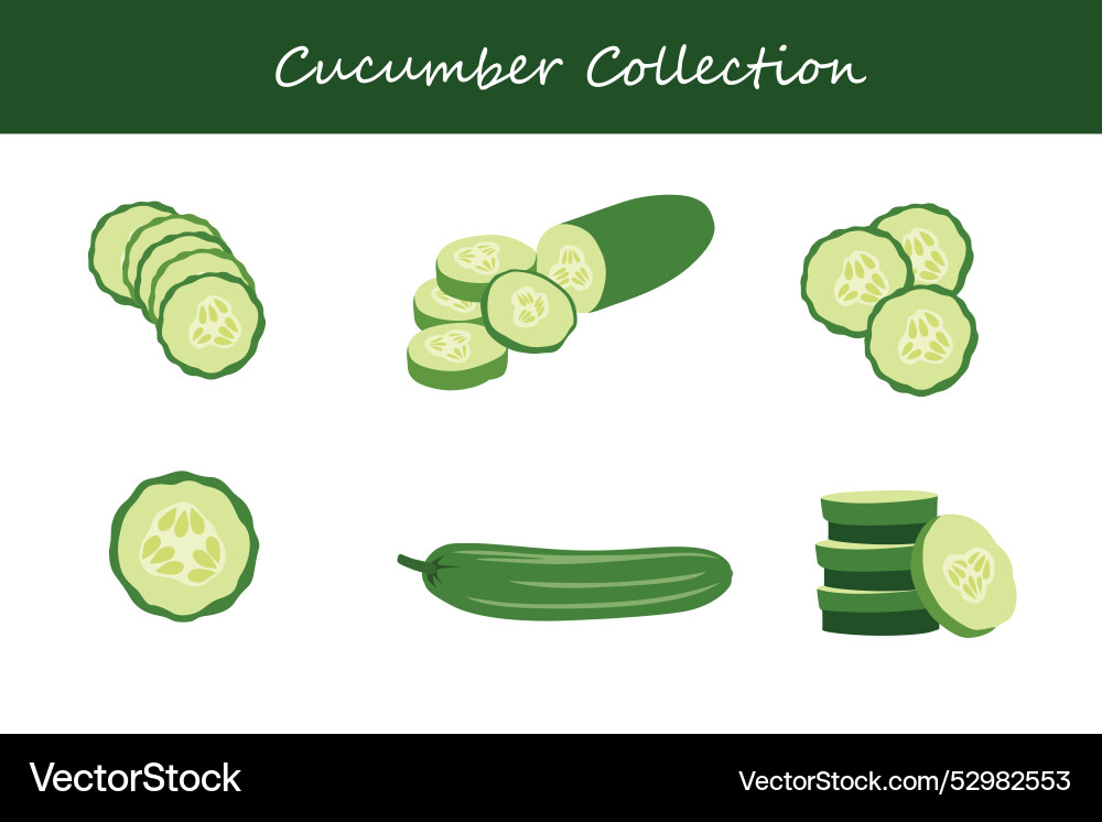 Cucumber collection in different poses Vector Image