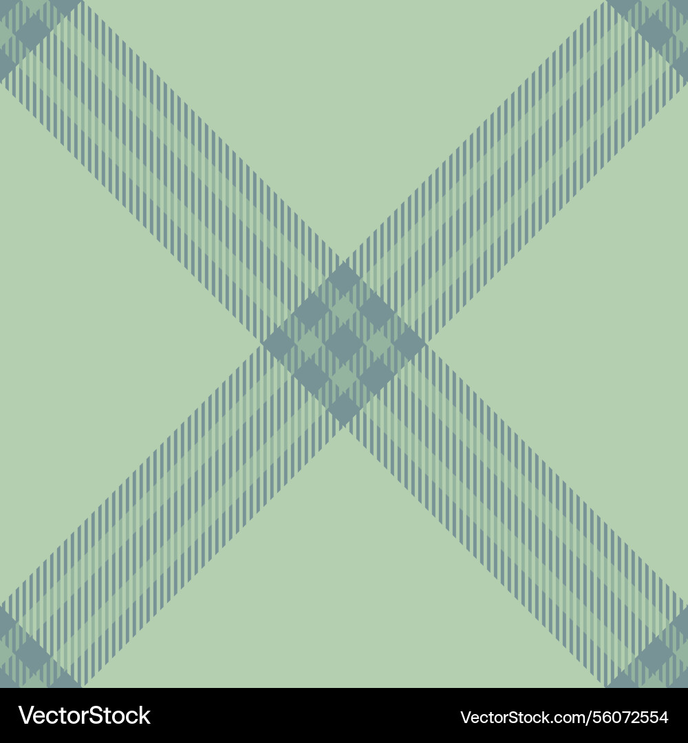 Style seamless texture pattern stripe textile vector image