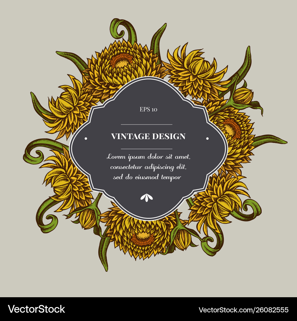 Badge over design with helichrysum Vector Image
