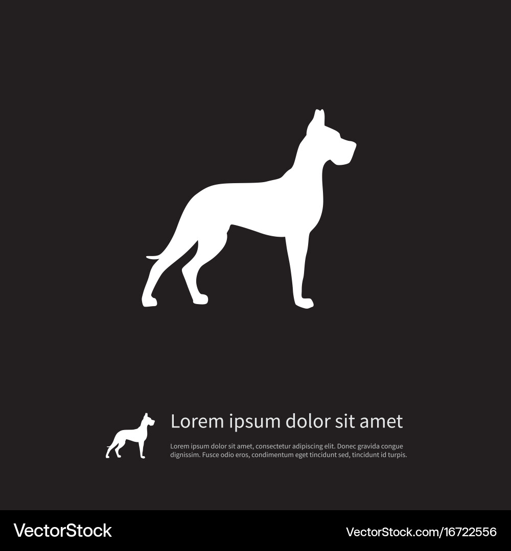 Isolated hound icon whippet element can Vector Image