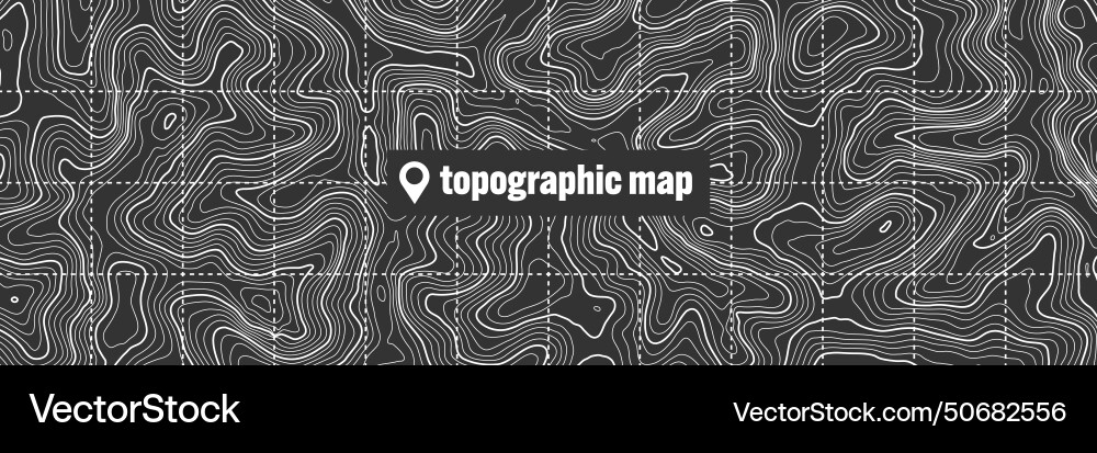 Topographic map with contour lines geographic Topographic map with contour lines geographic Vector Image