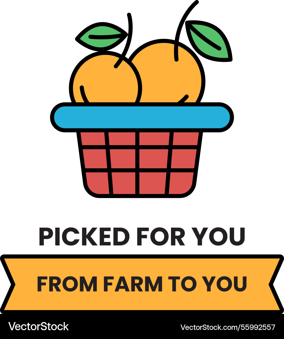 Basket of fruit is picked for you from farm Basket of fruit is picked for you from farm vector image