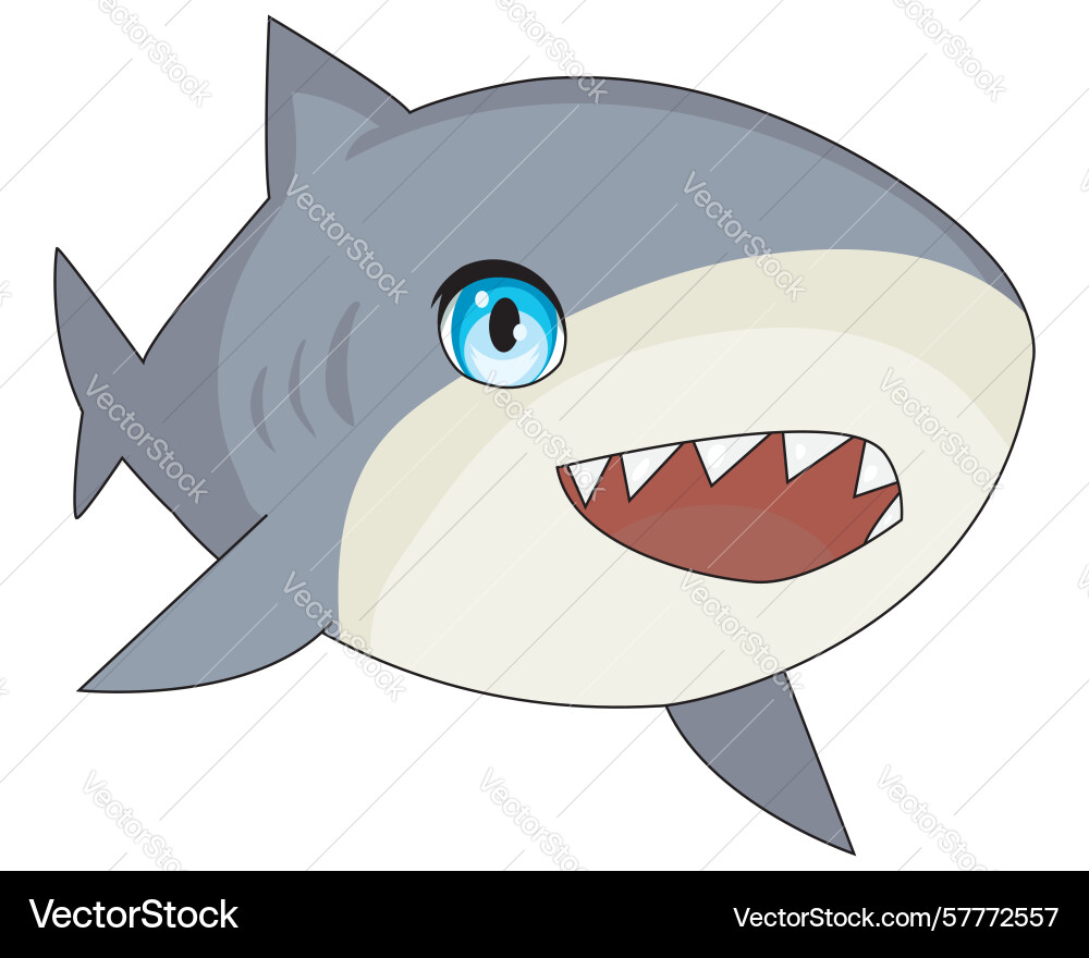 Cute baby shark Vector Image