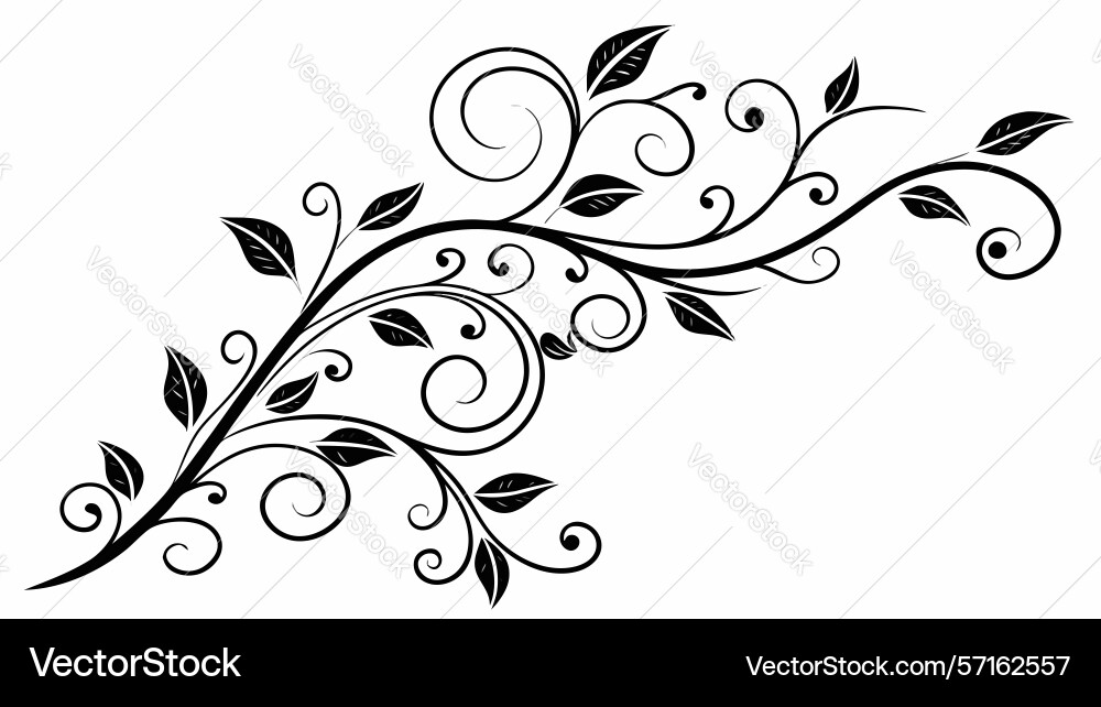 Stylized grape vine with leaf clusters rustic vector image