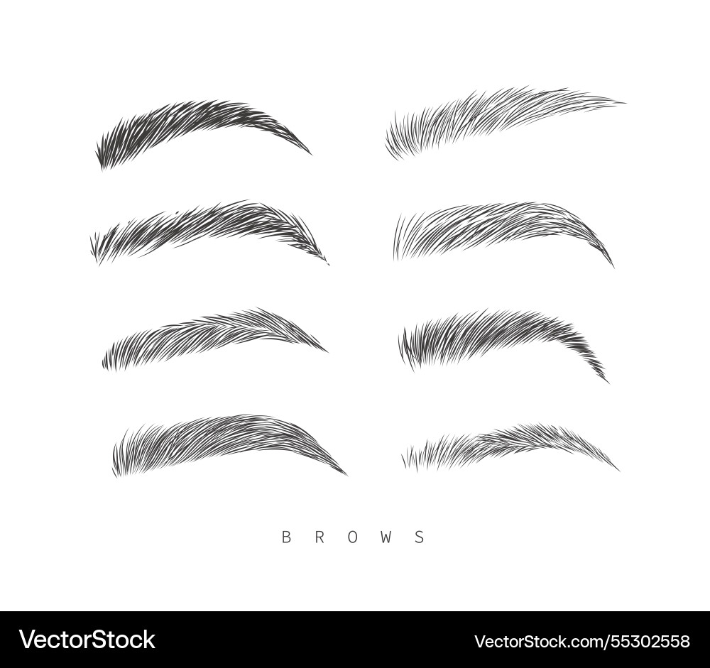Eyebrows collection set in different shape form Eyebrows collection set in different shape form vector image