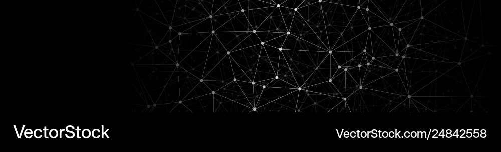 International networking connect connected lines vector image