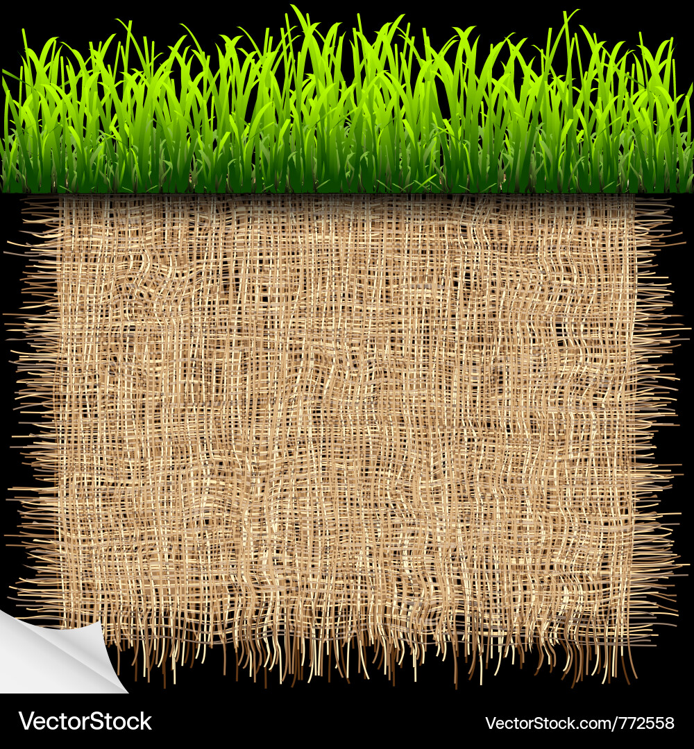 Natural Green Fabric Background Vector Image