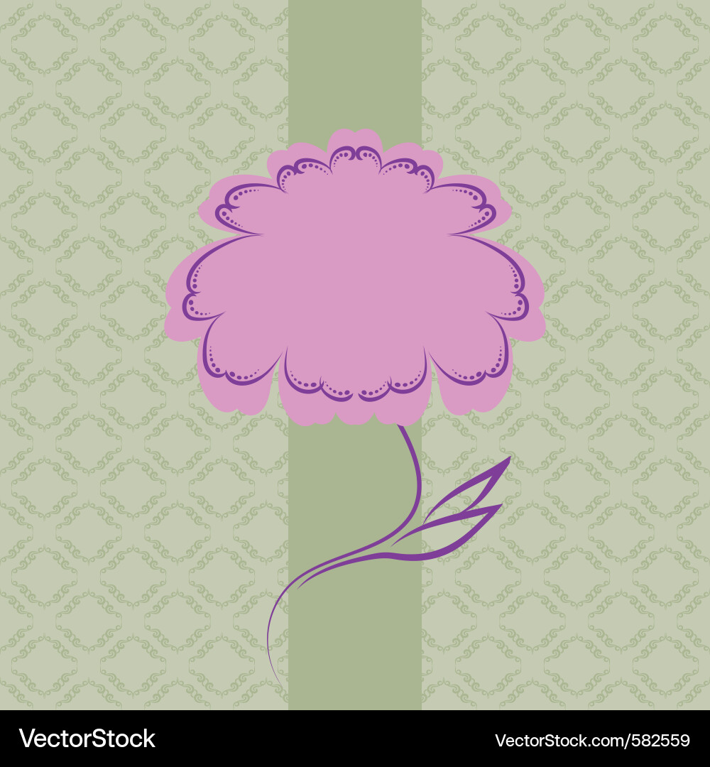 Elegant Frame Pattern vector image