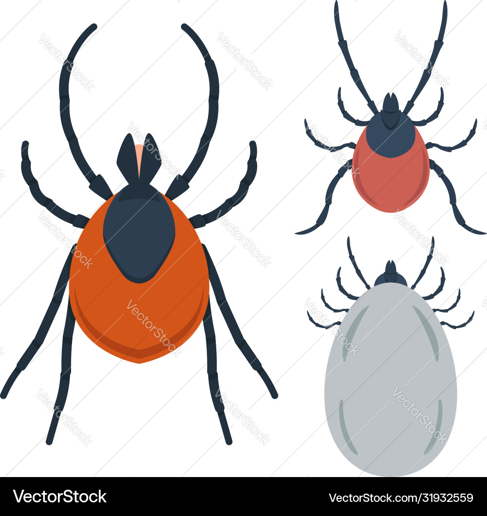 Set mite in flat style design element Set mite in flat style design element vector image