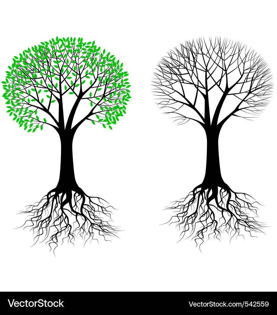 Tree Roots Silhouette vector image