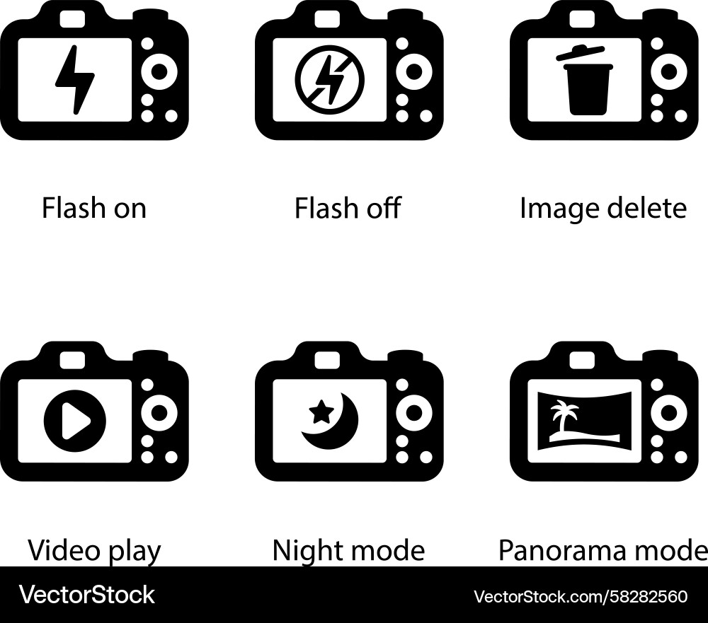 Camera Modes: Flash, Delete, Play Vector Image