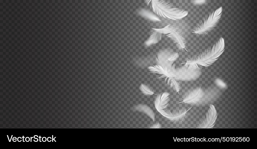 Feathers border column realistic Vector Image