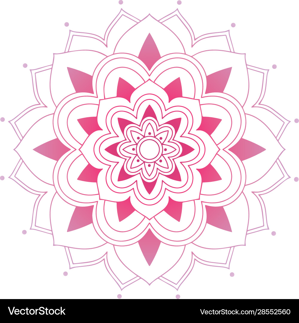 Mandala patterns on isolated background Mandala patterns on isolated background Vector Image