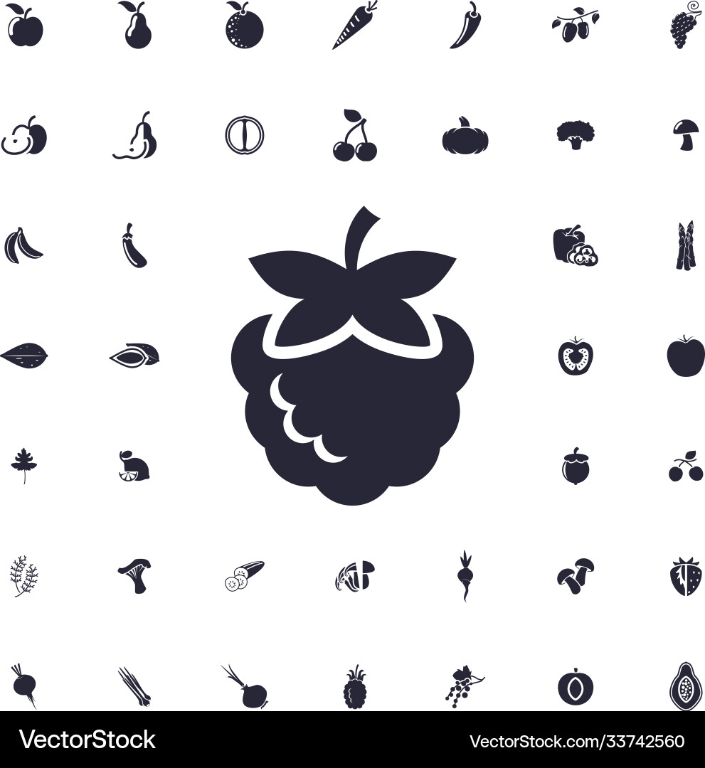 Raspberry icon Vector Image