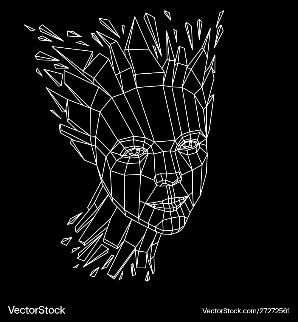 Exploding Poly Head - Brain Shatter vector image