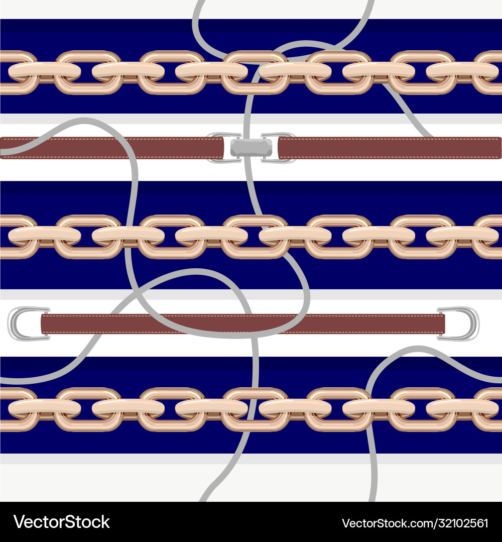 Seamless pattern with belts chain and braid Vector Image