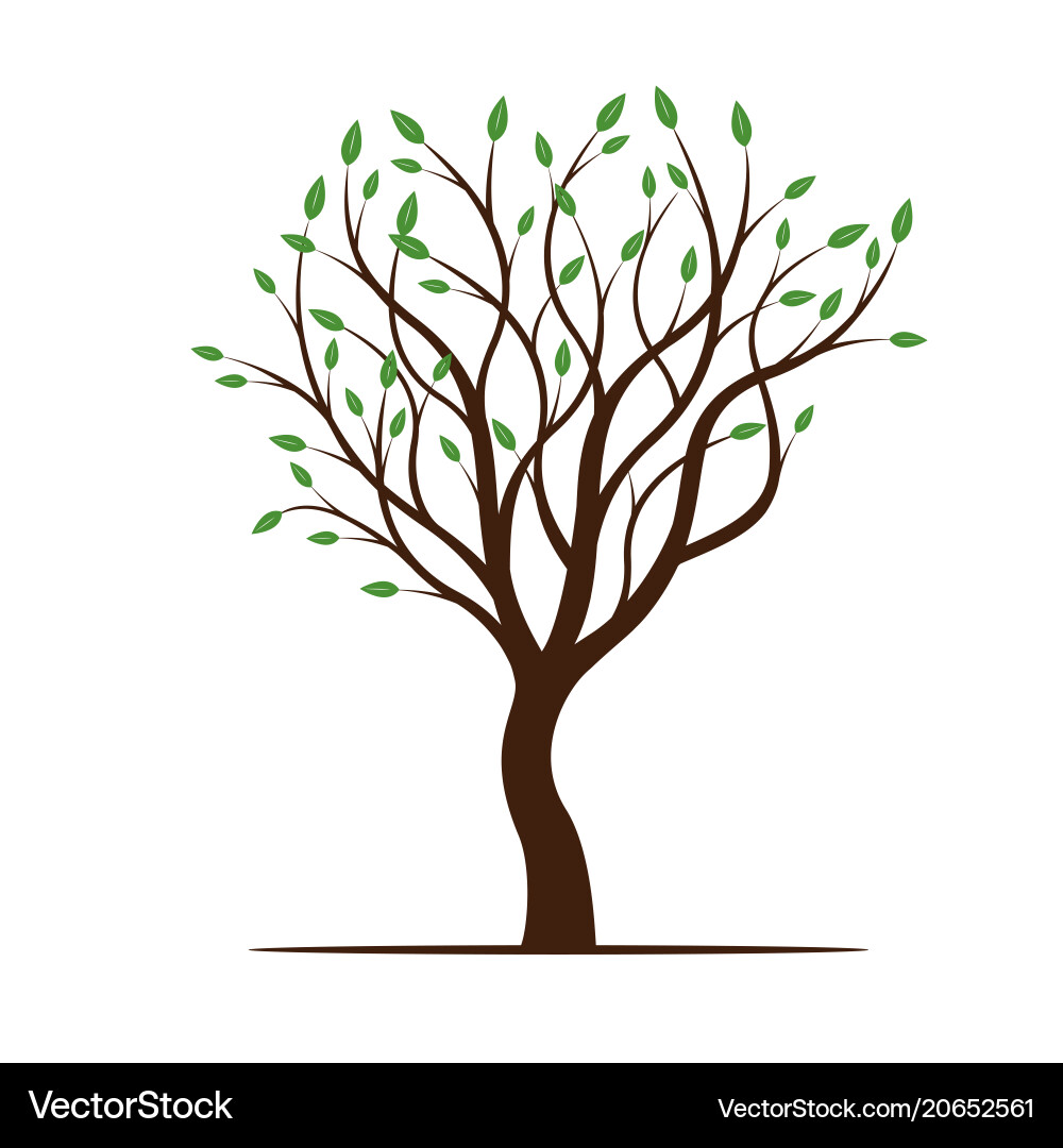 Spring tree with green leafs vector image