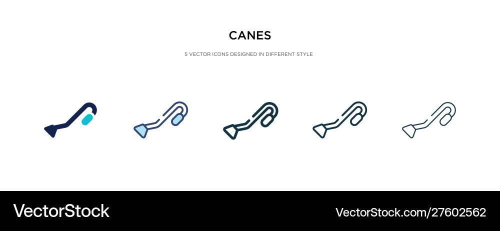 Canes icon in different style two colored vector image