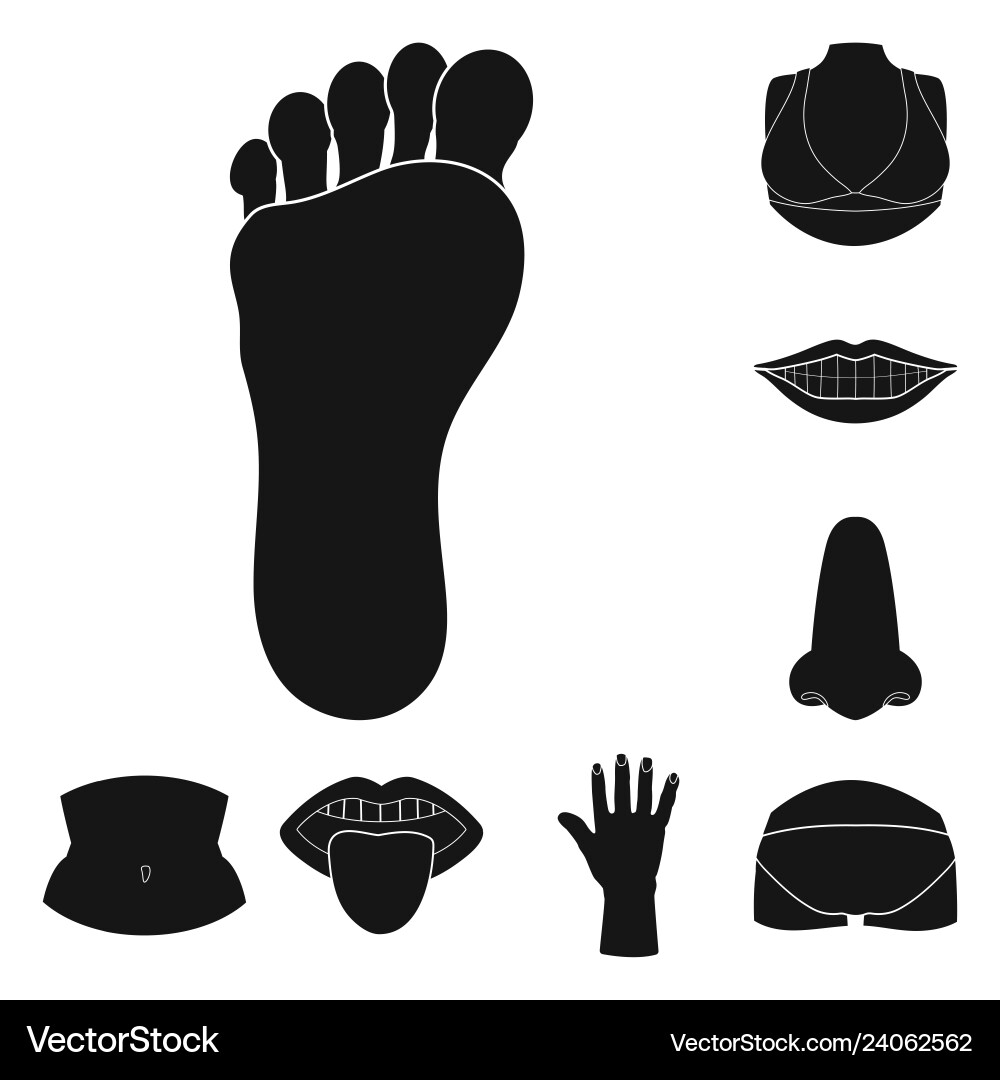 Isolated object of body and part symbol set Isolated object of body and part symbol set vector image
