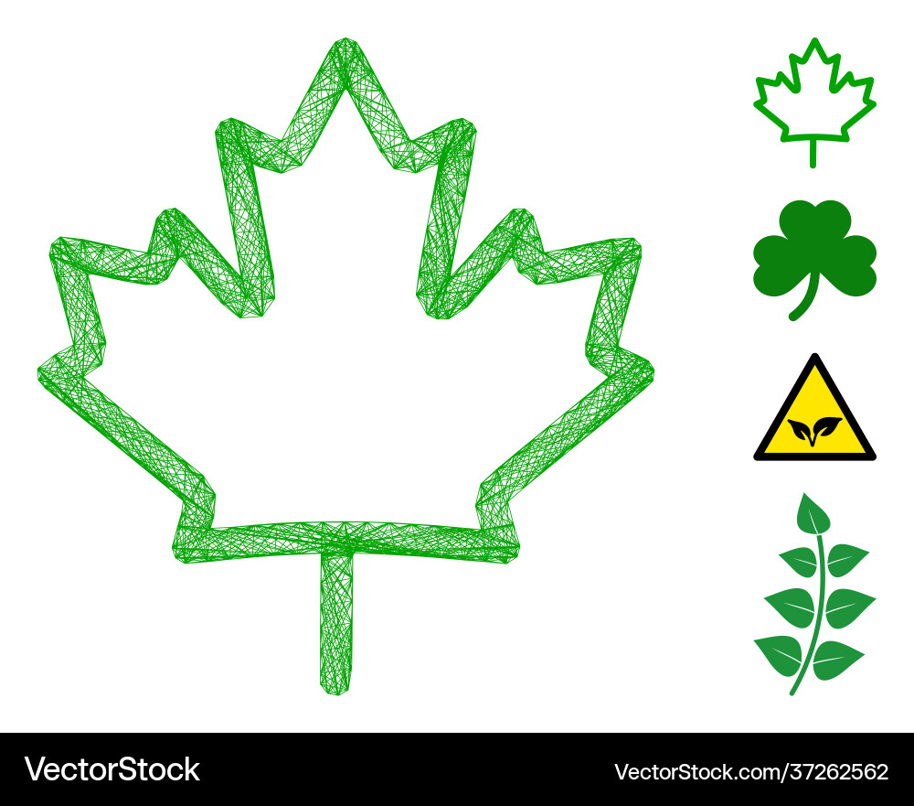 Net maple leaf mesh Net maple leaf mesh vector image