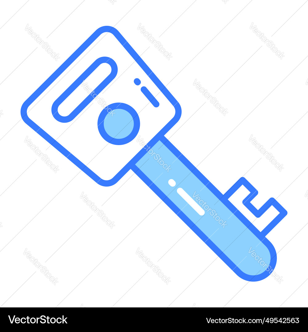 Encrypted key design in modern style easy to use Vector Image