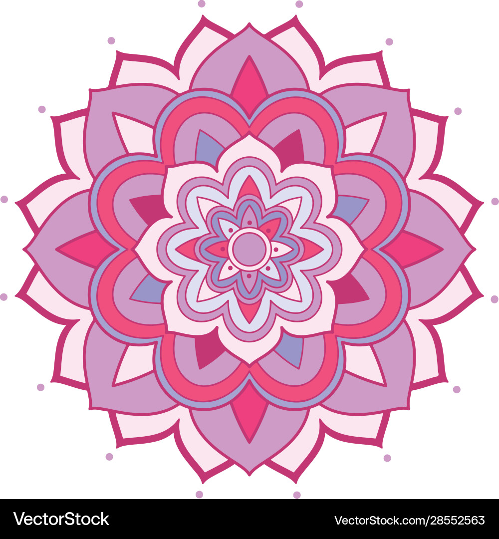 Mandala patterns on isolated background Vector Image