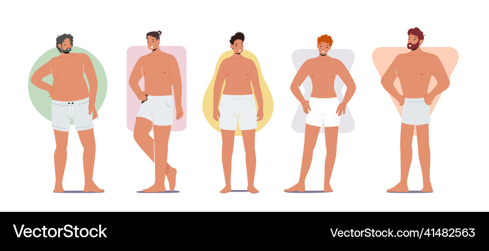 Set von Männer Körperfiguren Typen attraktive Personen Set von Männer Körperfiguren Typen attraktive Personen vektorbild