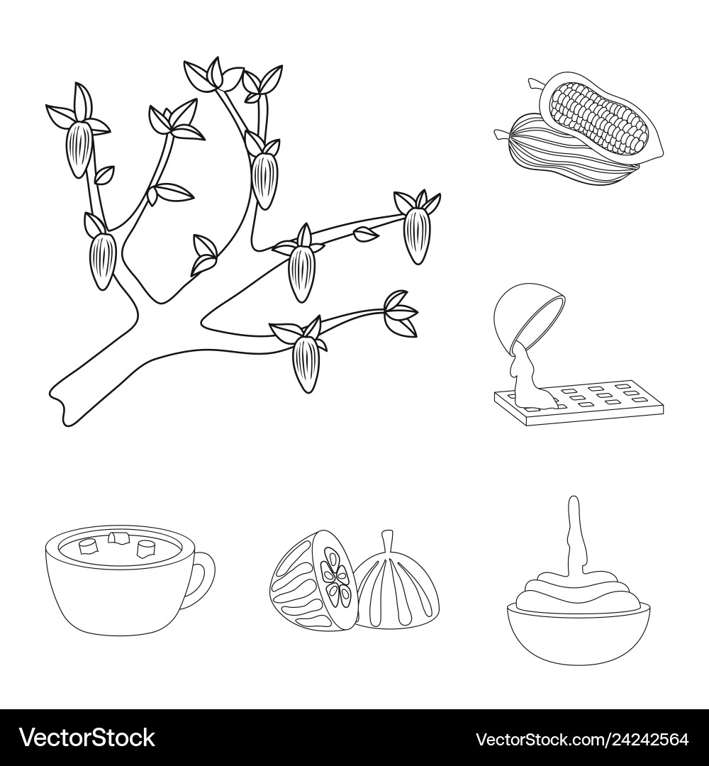 Design of cocoa and beans icon set Vector Image