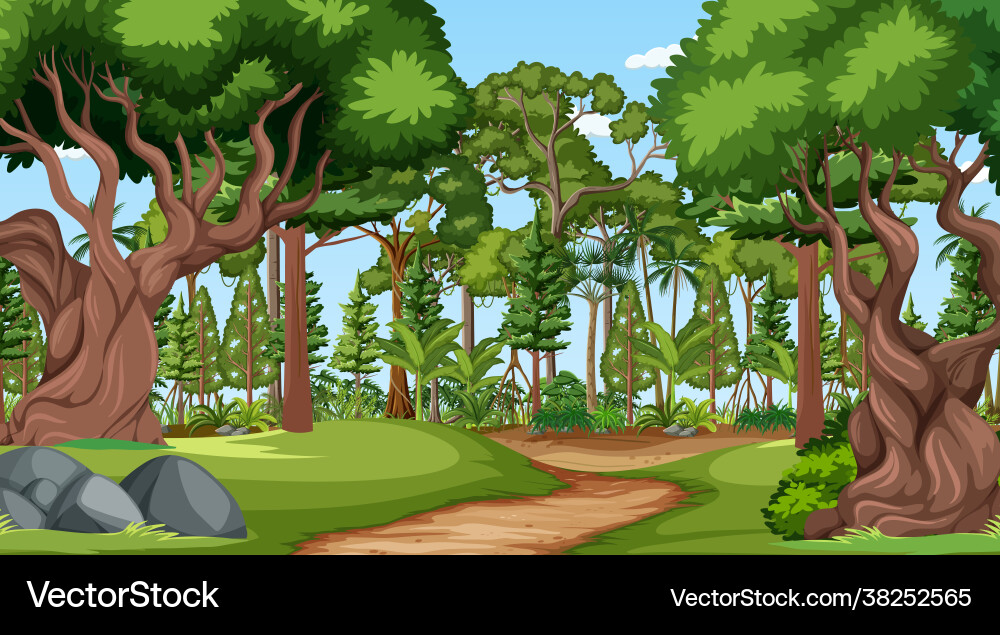 Forest scene with various trees Forest scene with various trees vector image