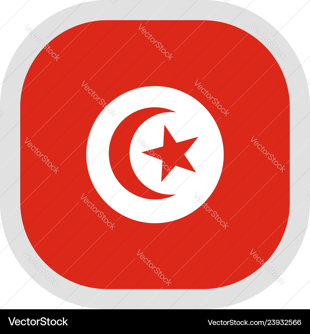 Icon square shape with flag on white background Icon square shape with flag on white background vector image