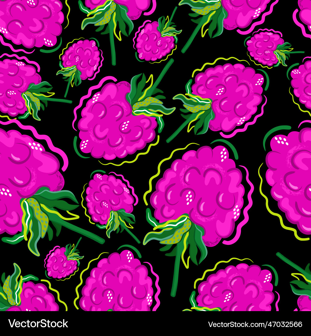 Raspberry pattern vector image