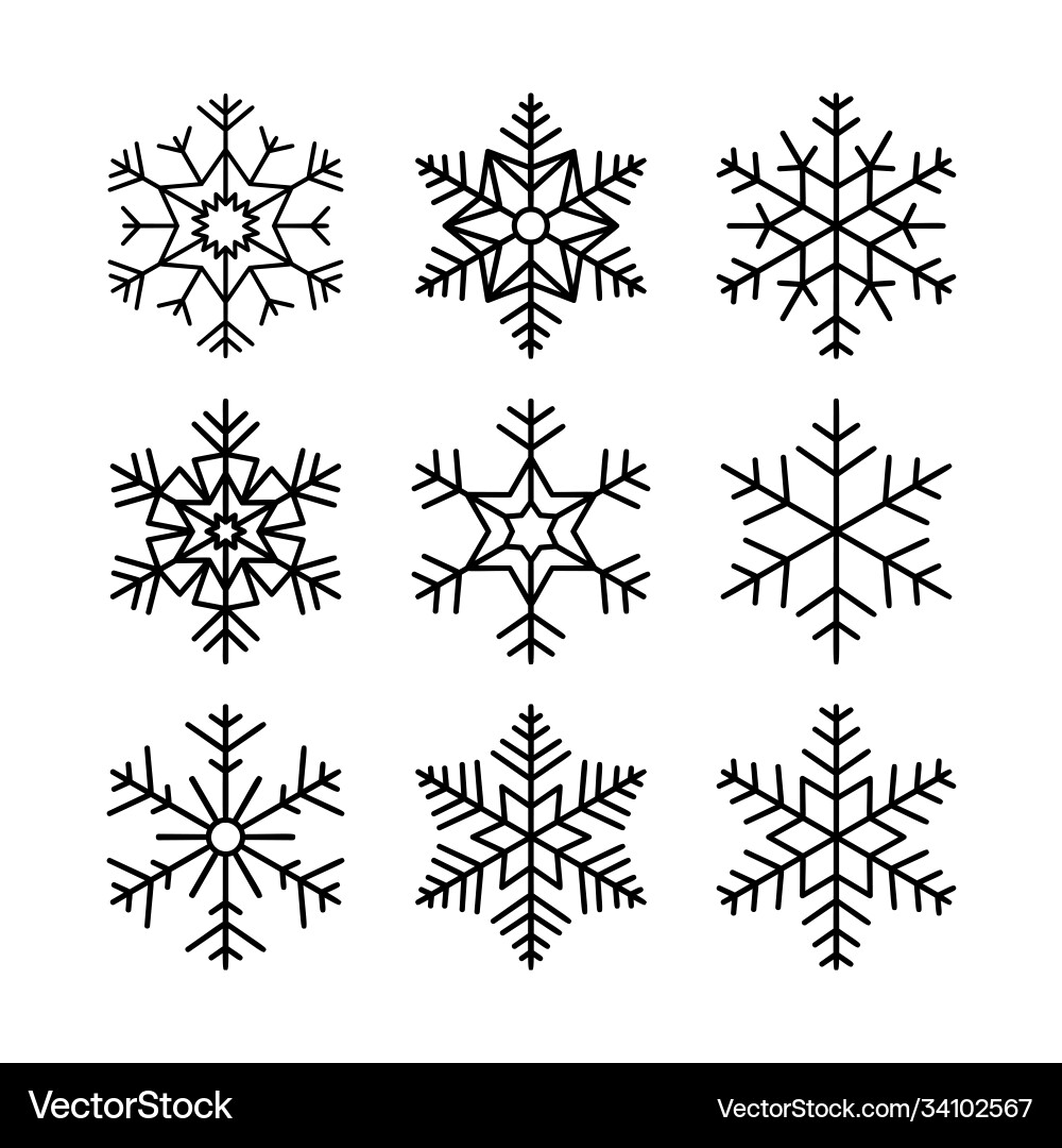 Winter Snowflake Collection Vector Image