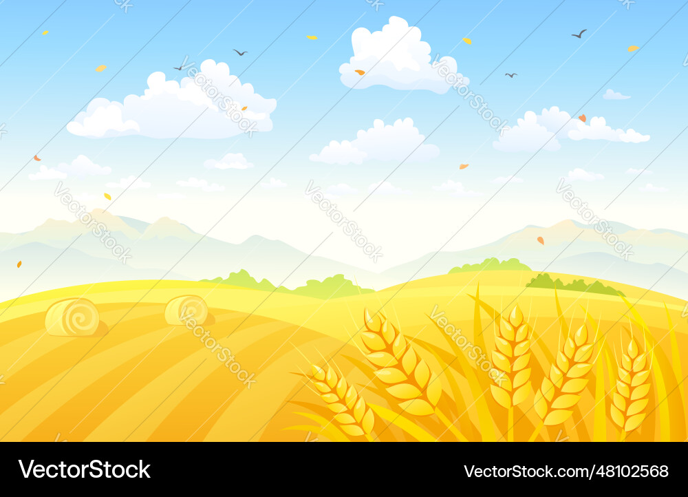Autumn fields background Autumn fields background vector image