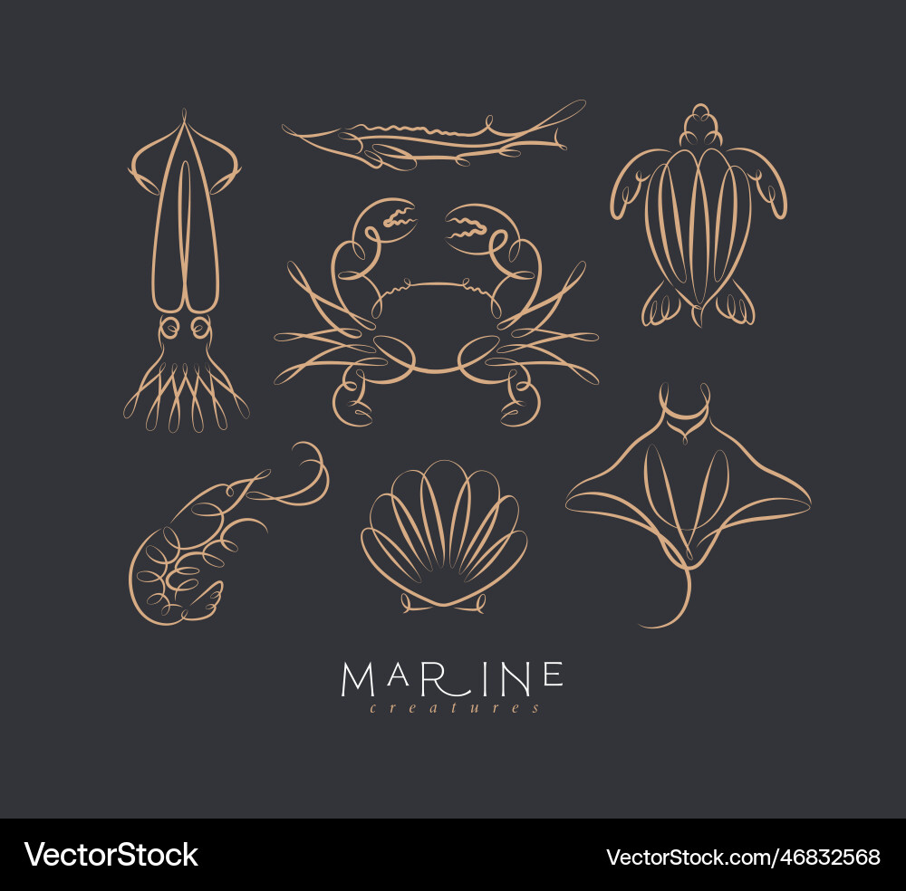 Filigree swirl marine creatures black vector image