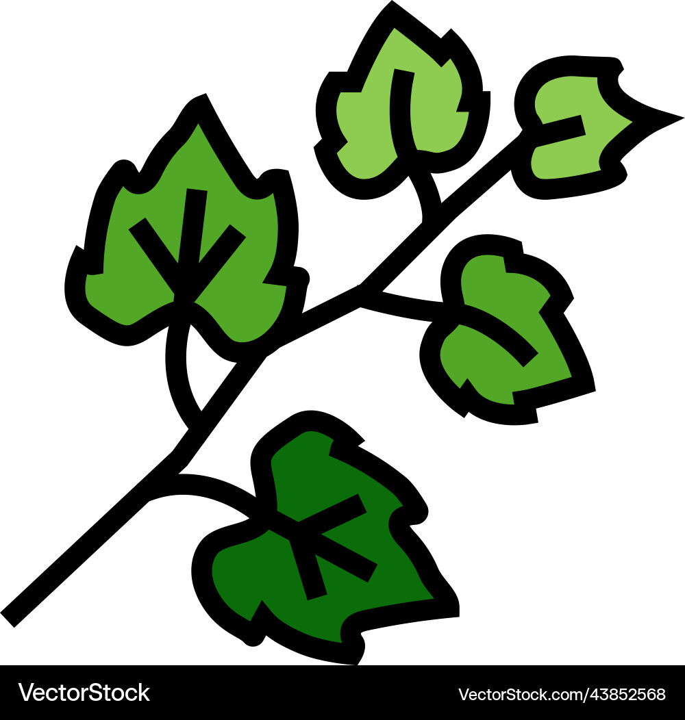Leaf grape color icon Vector Image