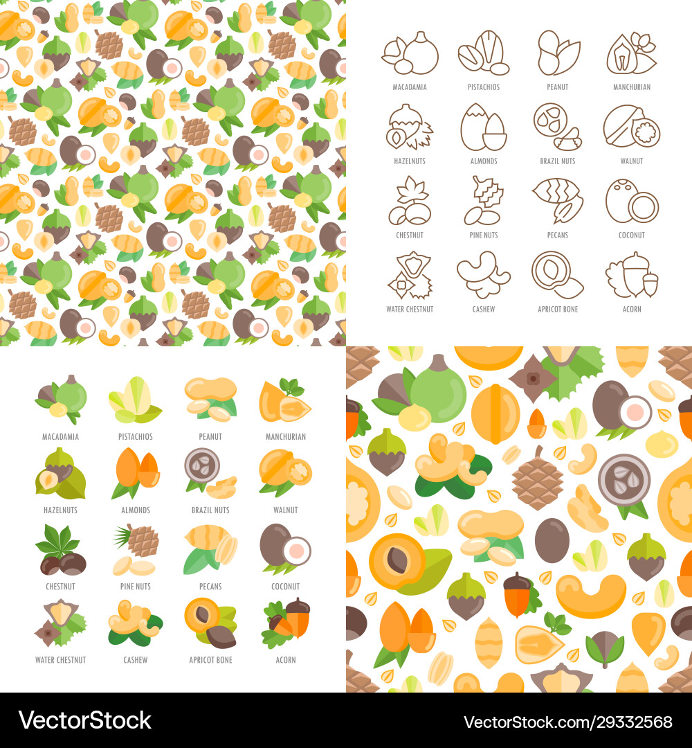 Nuts icons and patterns Vector Image