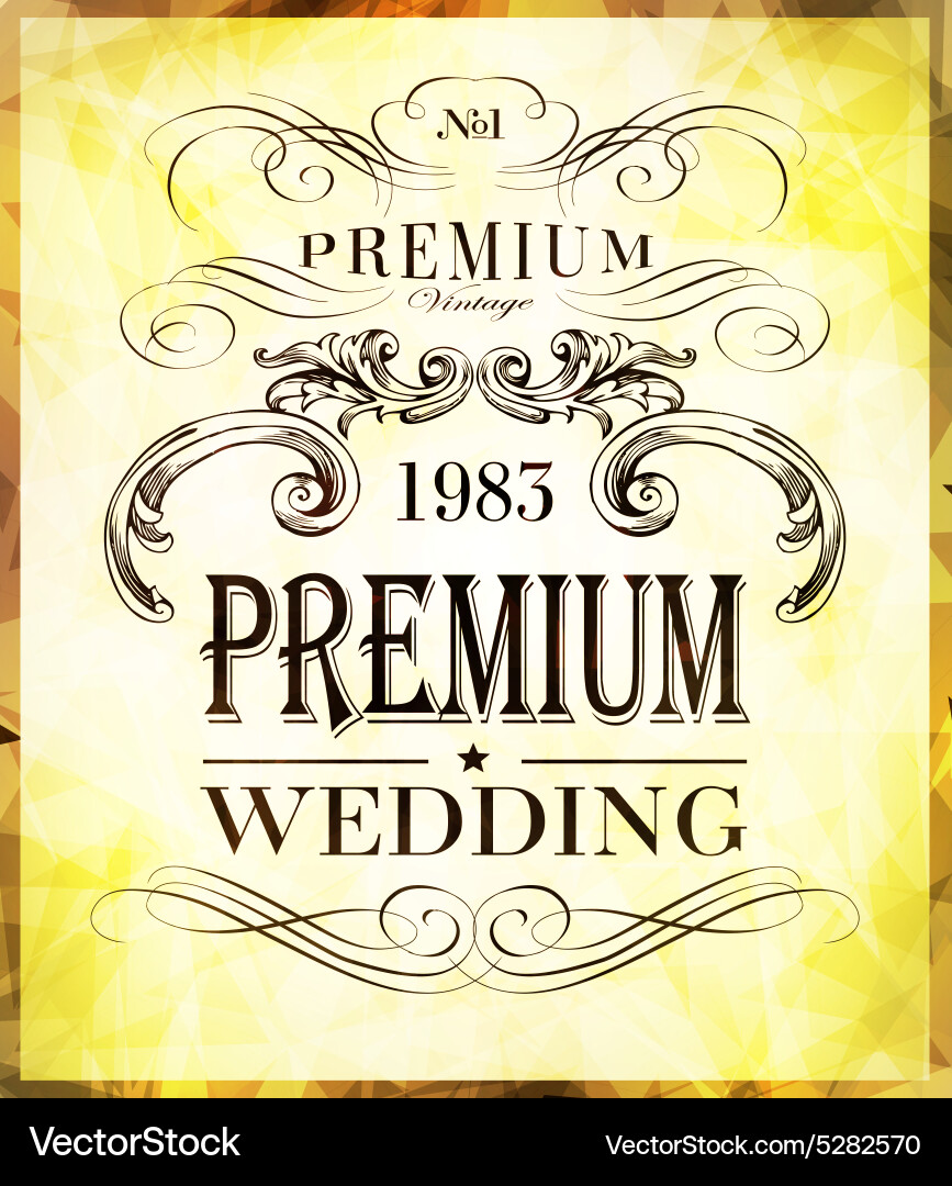 Calligraphic design elements Vector Image