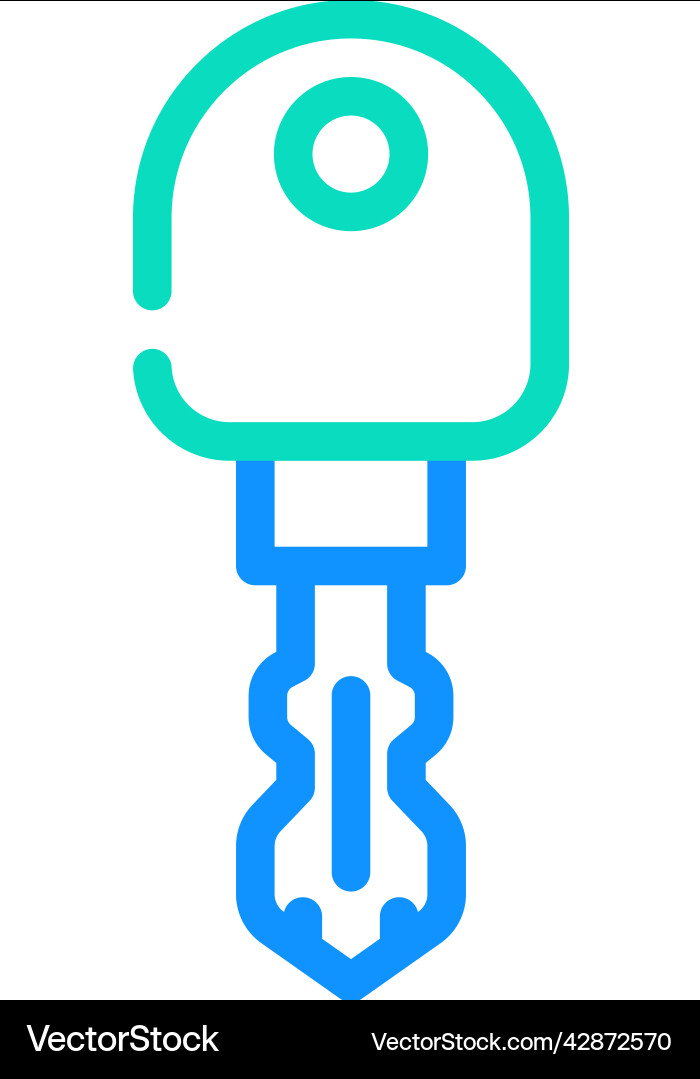 Double ended key color icon Vector Image