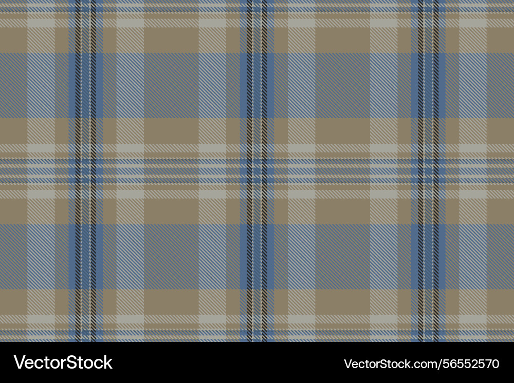 Floor textile check background paint fabric Vector Image