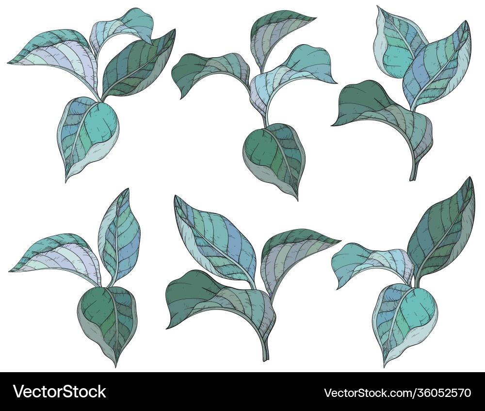 Seamless pattern with forest leafs Vector Image