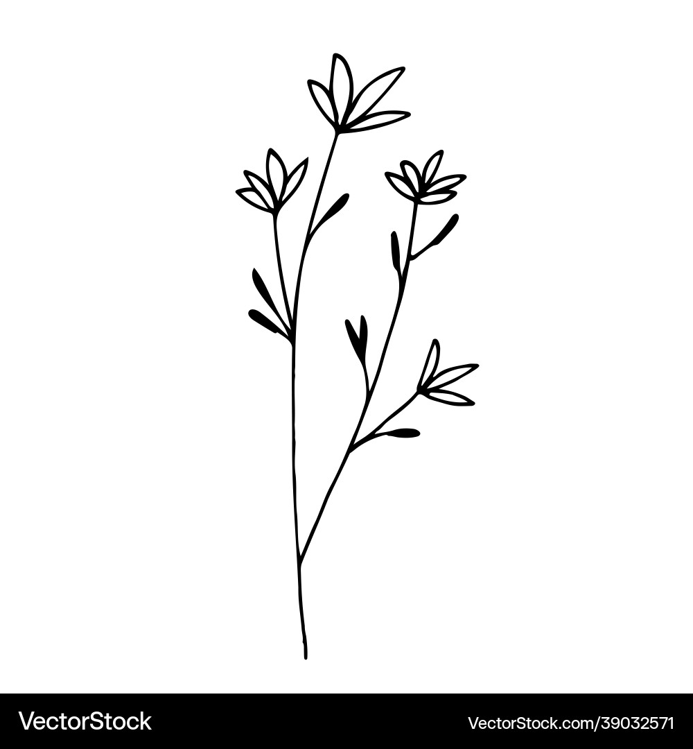 Botanical linear leaf set abstract minimalist Botanical linear leaf set abstract minimalist vector image