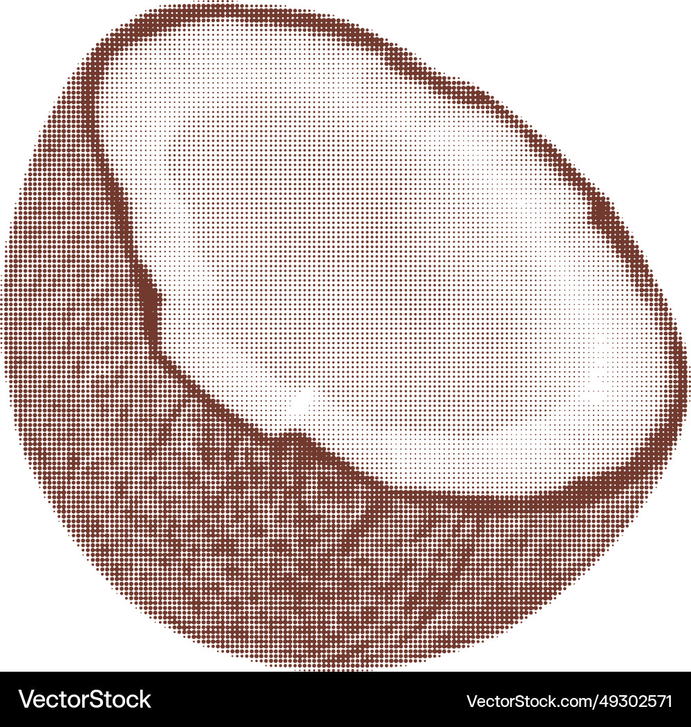 Coconut split half one isolated from circle dots Vector Image