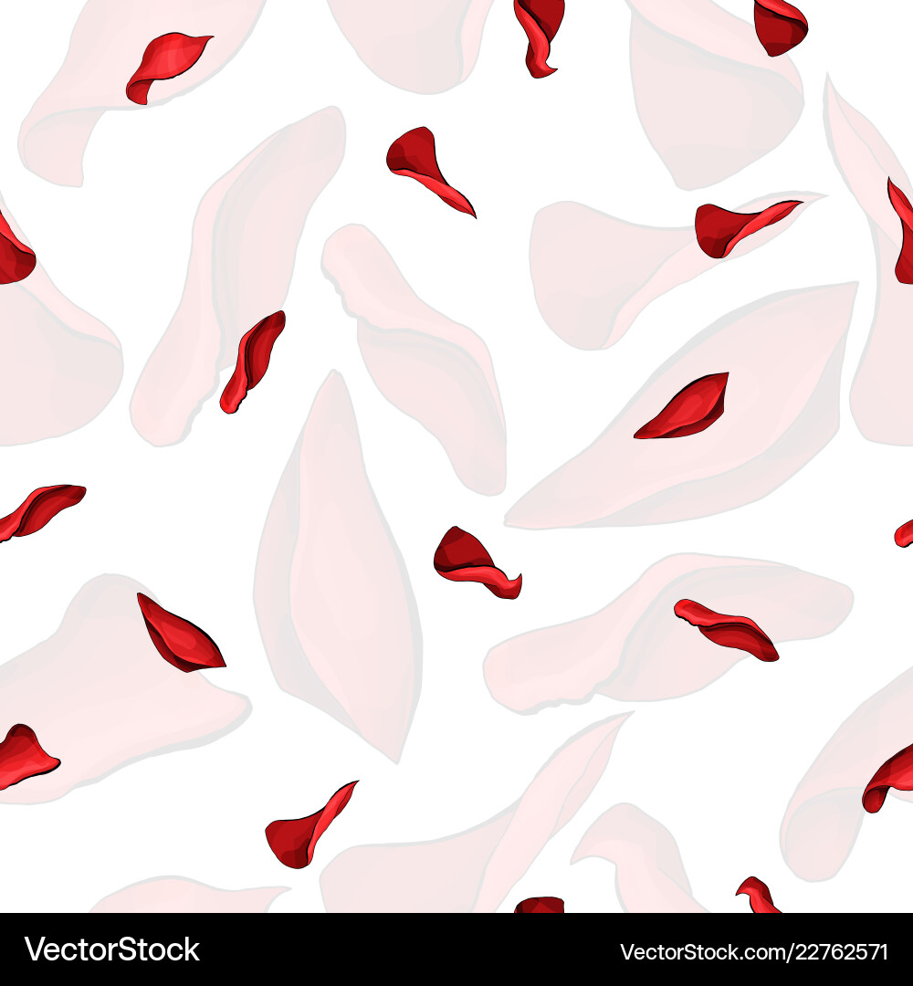 Red rose soft petals elements seamless pattern Vector Image