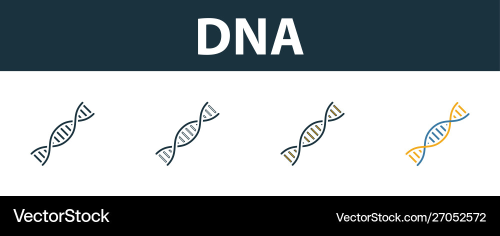 Dna icon set four elements in different styles Dna icon set four elements in different styles vector image