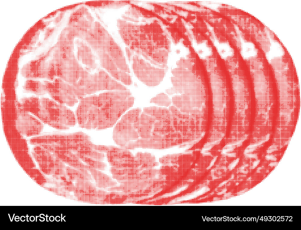 Ham sliced into round pieces isolated from circle Vector Image