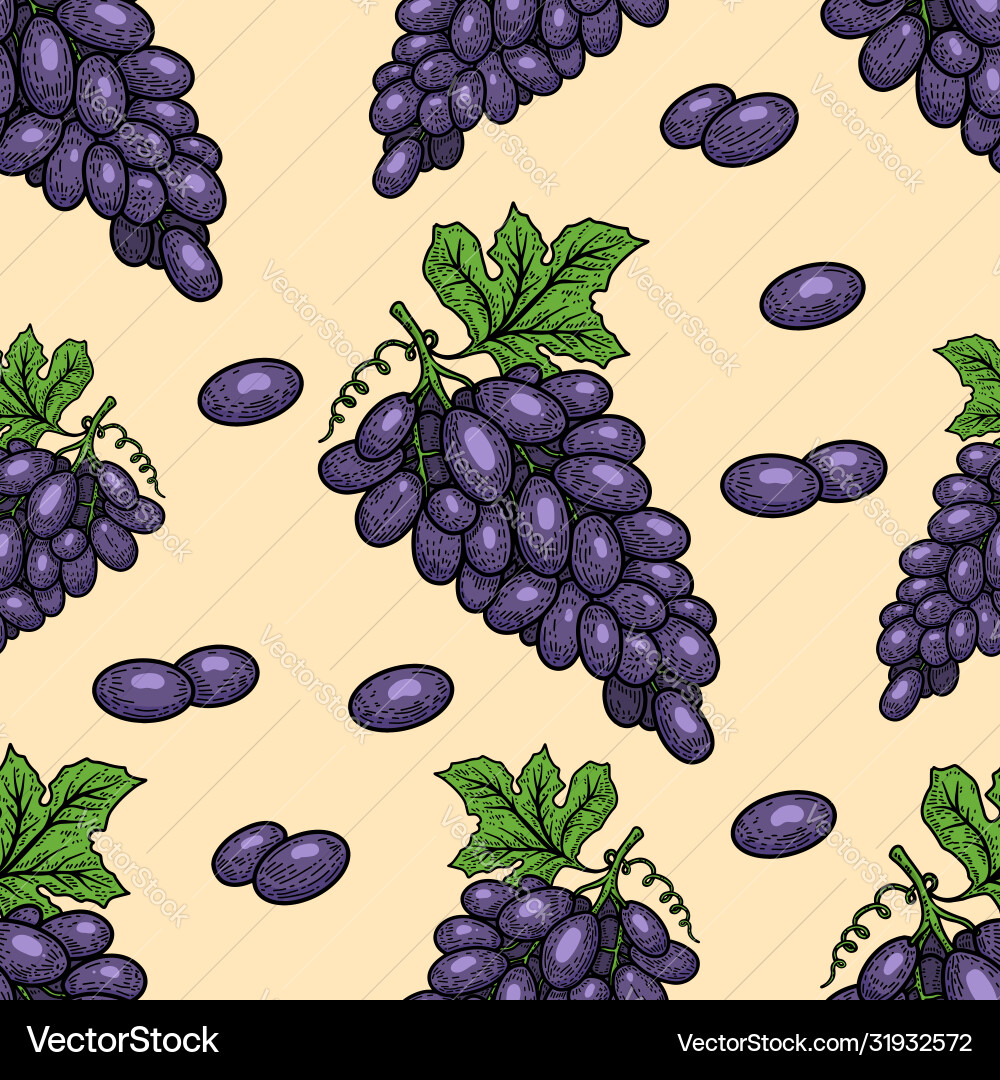 Seamless pattern with grape design element Seamless pattern with grape design element vector image